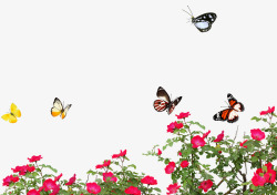 春纪海报蝴蝶飞舞海报装饰效果高清图片