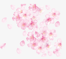 散落漂浮的樱花高清图片
