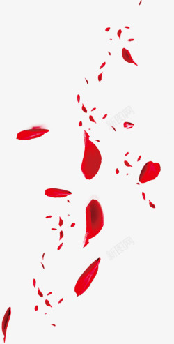 红色情人节漂浮花瓣素材