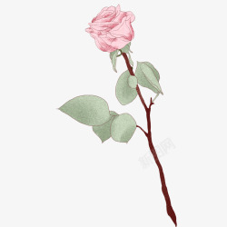 创意玫瑰卡通手绘粉色的玫瑰花高清图片