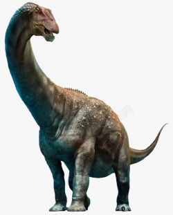 巨大草食性恐龙布满颗粒的迪亚曼蒂纳龙属实物高清图片