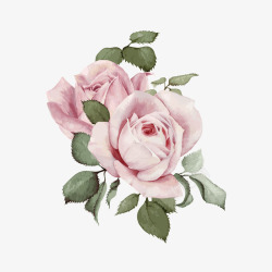 粉红花卉装饰画手绘花朵玫瑰花高清图片