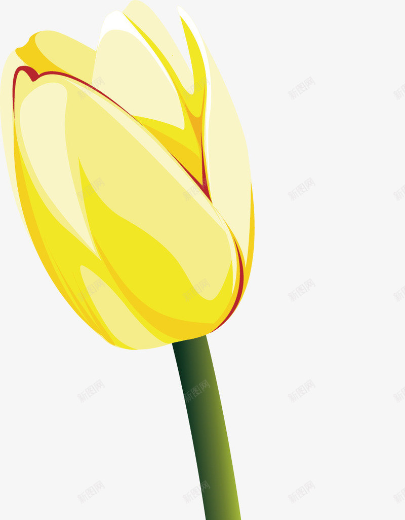 郁金香花枝郁金香高地矢量图ai免抠素材_88icon https://88icon.com 一枝郁金香 卡通花郁金香 复古手绘郁金香 手绘紫色郁金香 法国郁金香 玫红郁金香 白色郁金香手花 矢量图 郁金香插花 郁金香粉 郁金香翅膀 郁金香花 郁金香花篮 金色郁金香背景