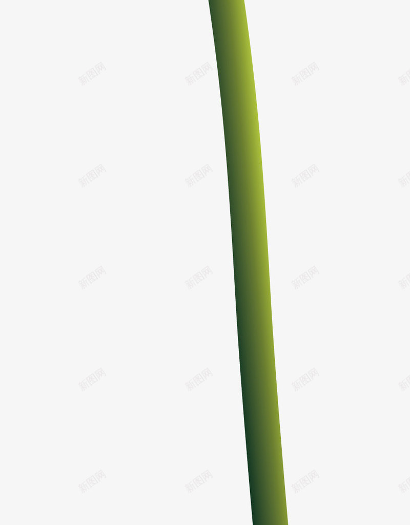 郁金香花枝郁金香高地矢量图ai免抠素材_88icon https://88icon.com 一枝郁金香 卡通花郁金香 复古手绘郁金香 手绘紫色郁金香 法国郁金香 玫红郁金香 白色郁金香手花 矢量图 郁金香插花 郁金香粉 郁金香翅膀 郁金香花 郁金香花篮 金色郁金香背景