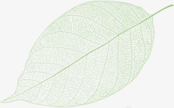 手绘绿植背景一片绿色的树叶植物高清图片