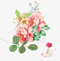 康乃馨花朵温馨的鲜花母亲节元素高清图片
