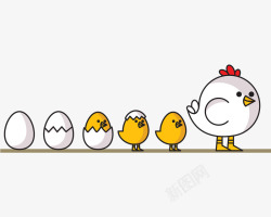 卡通小鸡母鸡手绘小鸡的成长过程高清图片