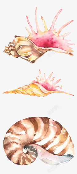 软体动物手绘水彩精美海螺高清图片