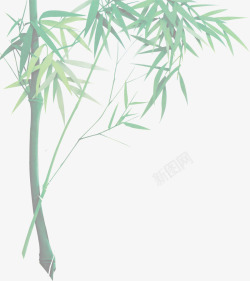 绿色竹子端午节竹叶素材