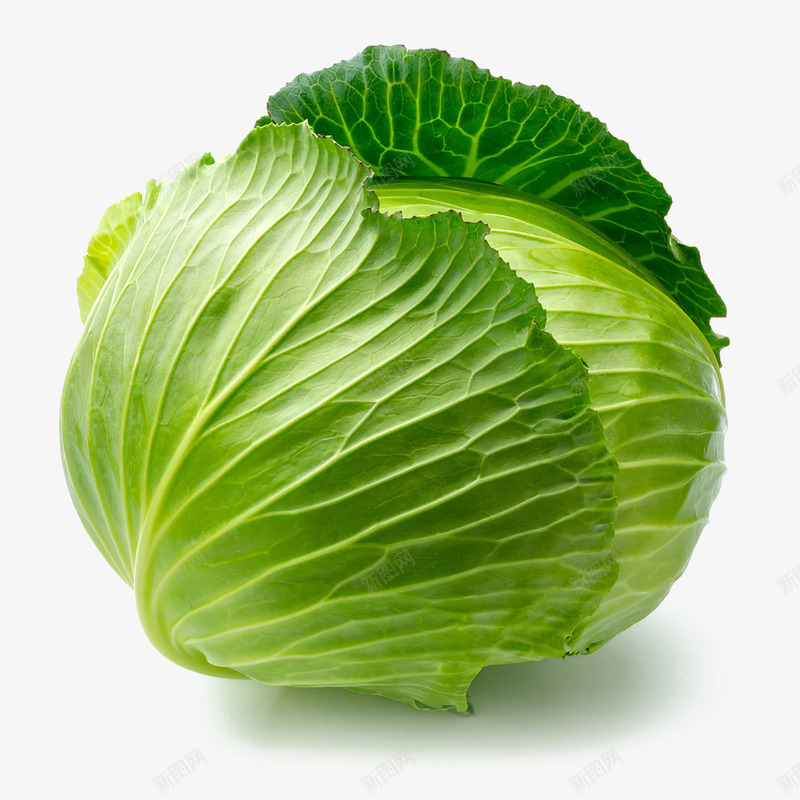 包菜蔬菜青菜png免抠素材_88icon https://88icon.com 包菜 爱心蔬菜 菜类图片 蔬菜 青菜