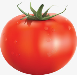 新鲜生鲜番茄西红柿素材