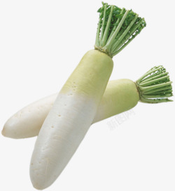 蔬菜写实白萝卜高清图片