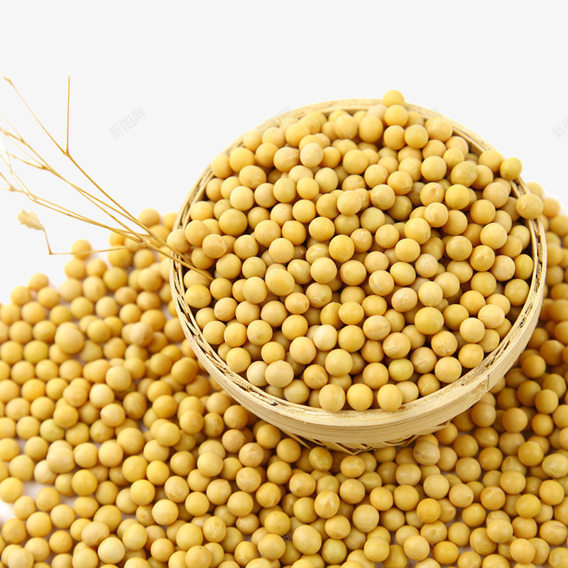小黄豆子png免抠素材_88icon https://88icon.com 东北农家笨黄豆 五谷杂粮 产品实物 大豆 小黄豆 小黄豆子 非转基因 黄色豆子