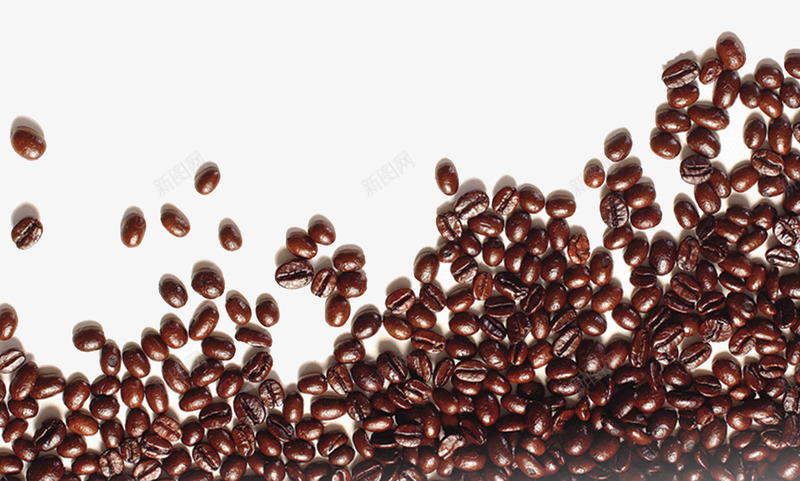 装饰图案png免抠素材_88icon https://88icon.com 可口 咖啡豆 装饰图案
