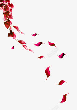 红色藤蔓树叶飘落装饰图案素材