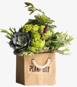 植物摆件购物袋花瓶的植物摆件高清图片