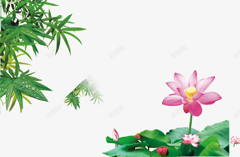 清新绿色竹叶荷花荷叶池塘png免抠素材_88icon https://88icon.com 池塘 清新 竹叶 竹子荷花荷叶满池塘 绿色 荷叶 荷花