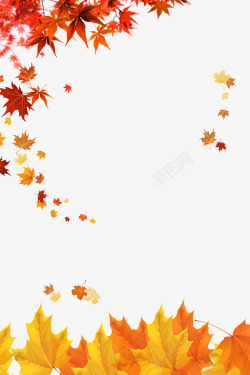 秋季元素枫叶落叶高清图片
