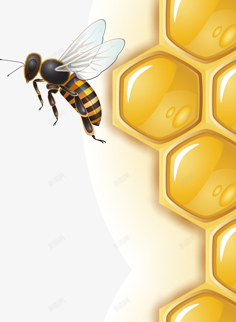 蜂巢花边矢量图eps免抠素材_88icon https://88icon.com 六边形 矢量图 精美 花边 蜂巢 蜂窝 蜂窝格 蜂类 蜂蜜 蜜蜂 蜜蜂窝