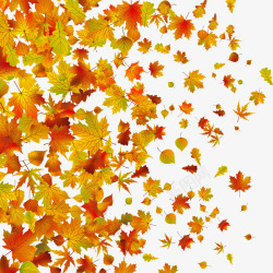 飘飞的叶子秋季凋零的树叶高清图片