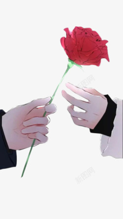 情侣漫画手绘玫瑰花双手高清图片