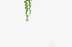 一簇绿色藤蔓垂吊植物藤蔓垂吊绿色植物庭院高清图片