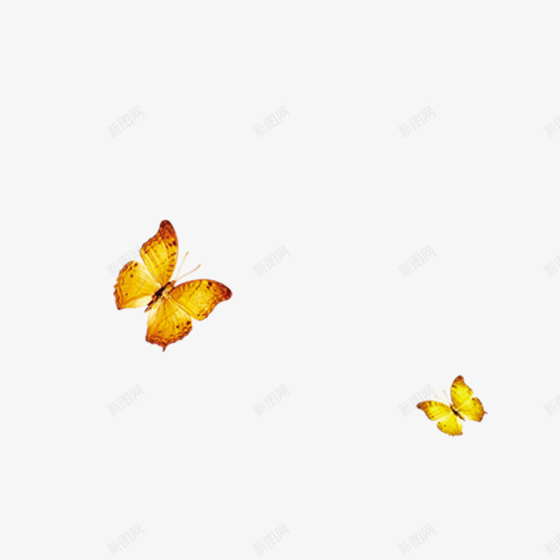 金色蝴蝶png免抠素材_88icon https://88icon.com 黄蝴蝶 花蝴蝶 飞舞 自由 38妇女节 三八节 女人节 妇女节素材 