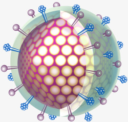 病毒细胞横截面立体插画素材