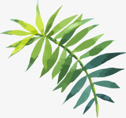 水彩热带植物手绘水彩绿叶高清图片