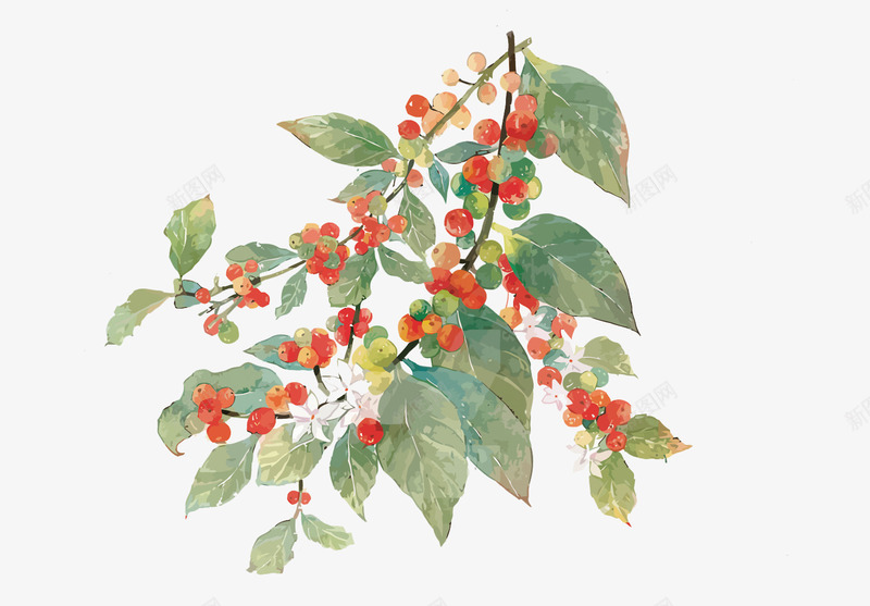 红花绿叶矢量图eps免抠素材_88icon https://88icon.com 卡通 手绘 水彩 矢量花 红花 绿叶 花PNG矢量图 花免扣PNG图 矢量图