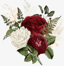 水彩花卉标志牌手绘复古红色花卉植物矢量图高清图片