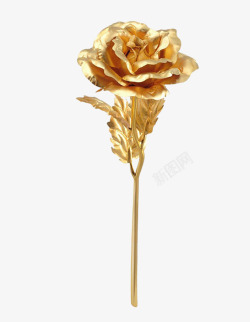 金色六角花朵金波玫瑰花高清图片