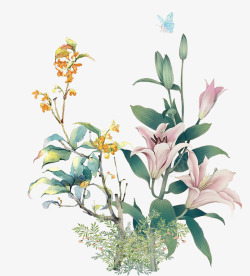 动物植物装饰画美丽手绘花朵装饰高清图片