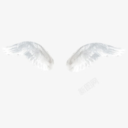 白色色礼品盒白色透明的翅膀高清图片