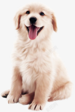 可爱的狗狗可爱小狗装饰图案高清图片