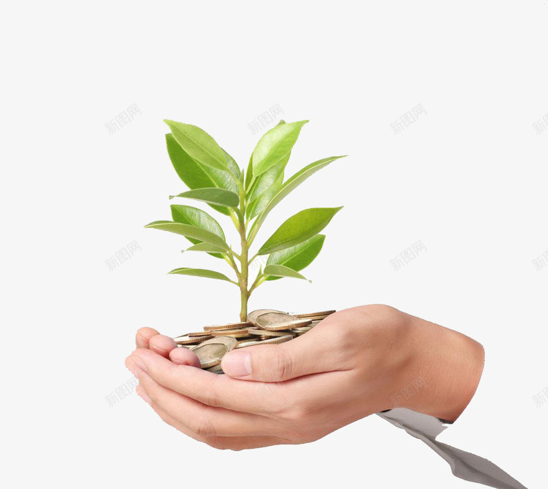 双手中的一堆金币绿png免抠素材_88icon https://88icon.com 双手中的一堆金币绿 硬币 金币 钱 银元 银币 高清免扣