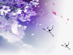 紫花白鹤落英落花与白鹤高清图片