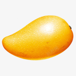 黄黄的芒果素材