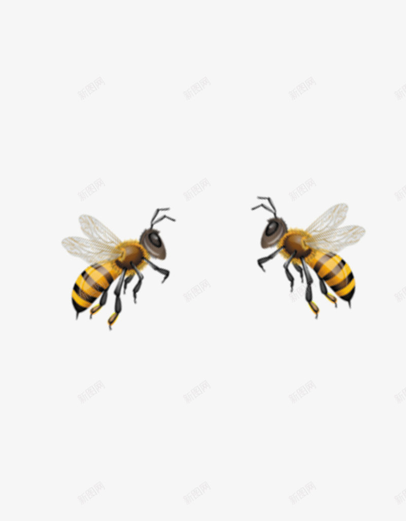 勤劳的小蜜蜂png免抠素材_88icon https://88icon.com 勤劳 小蜜蜂 蜂类 蜂蜜 蜜蜂 采蜜 黄色