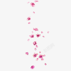 桃花叶花瓣浮漂元素高清图片