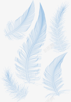 手绘简易白色的羽毛高清图片