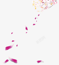 飘落的粉色花瓣素材