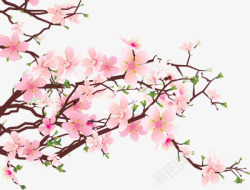 粉色桃花树枝春天植物素材