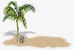 沙滩椰子树海鸥素材