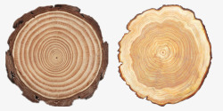 树墩橡胶木圆木头高清图片