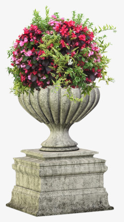 花盆上的植物石具花坛高清图片