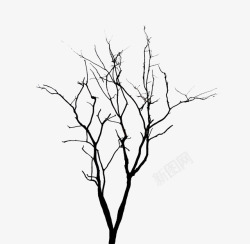简单树枝背景简单的缠绕的树枝高清图片