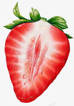 高清草莓png手绘新鲜草莓高清图片