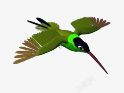 绿翅膀飞翔的啄木鸟高清图片