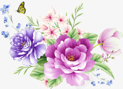 墙花紫色鲜花一束请请用高清图片